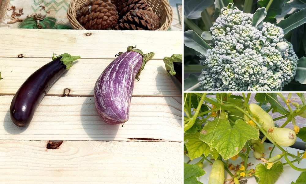 Les fruits et légumes