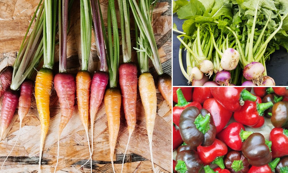 Les mini légumes