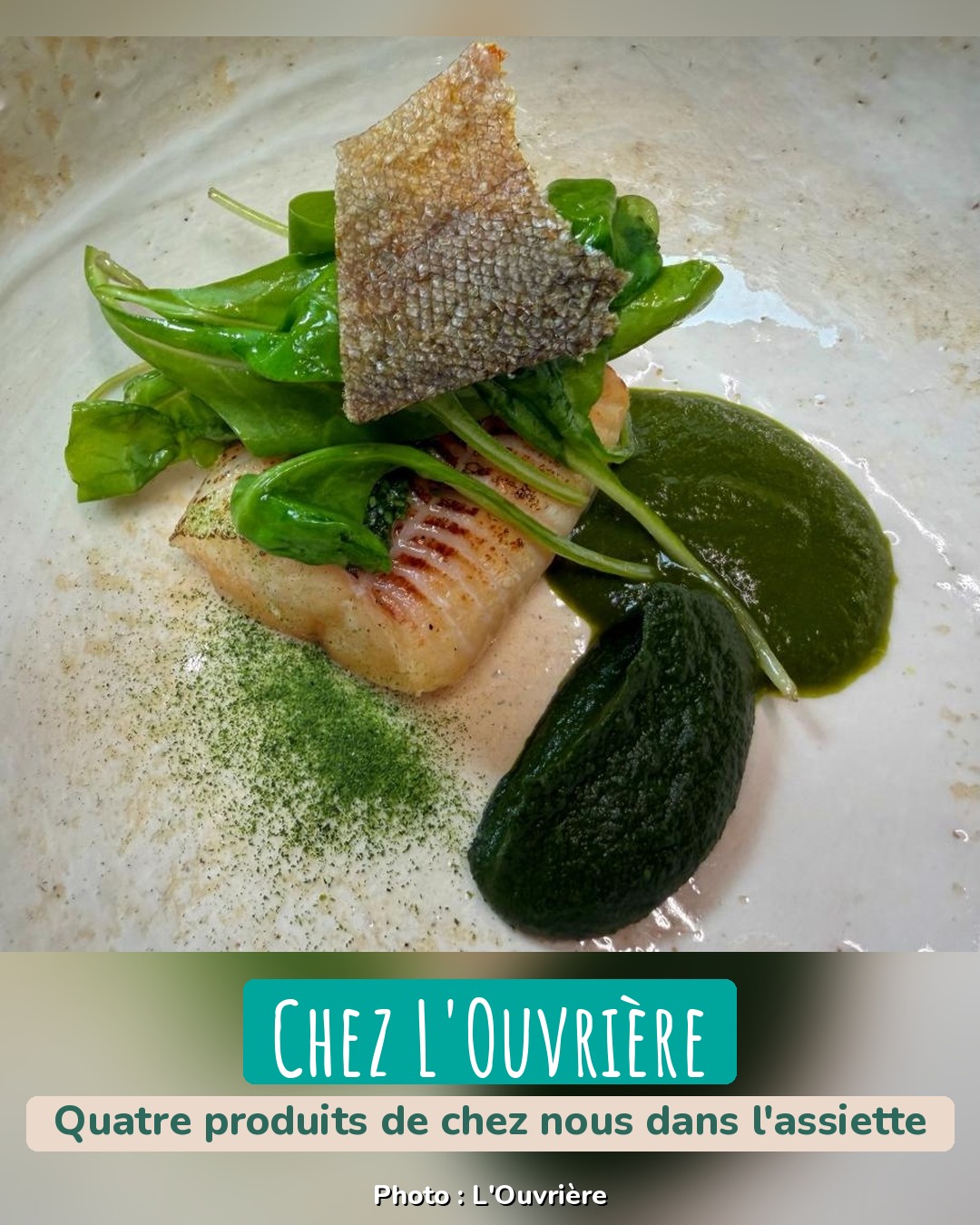Filet de truite blanche grillé surmonté de jeune blette et d'une chips de peau de truite, assiette du chef Ludovic Dumont à L'Ouvrière