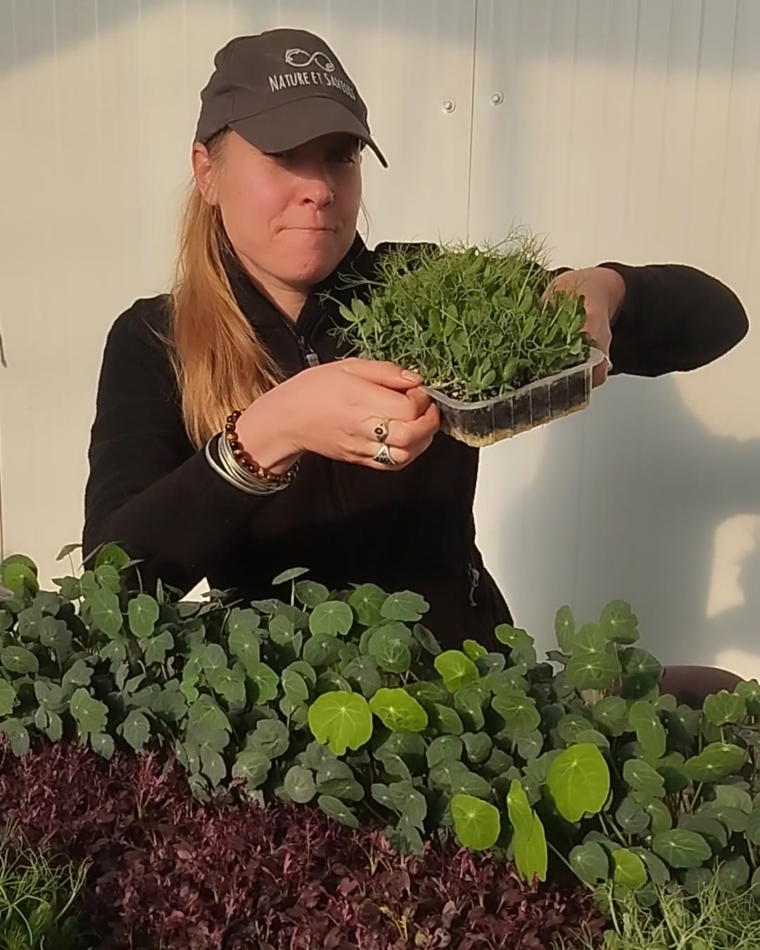 Clem, en casquette Nature et Saveurs, tient une barquette de micropousses de petit pois dans la serre de la ferme à Saint-Astier