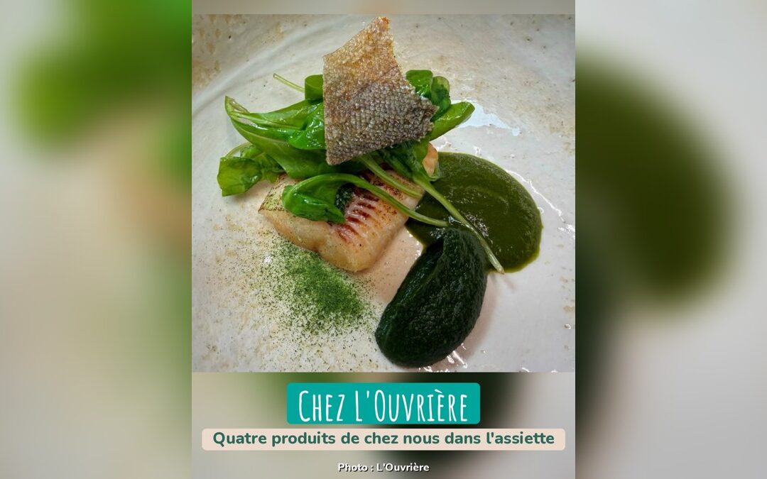 Chez L&rsquo;Ouvrière, à Montamisé : truite blanche, jeune blette, lentilles d&rsquo;eau et cresson